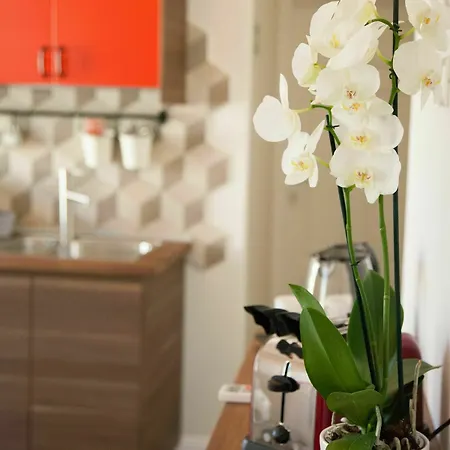 Clodio10 Suite&apartment * Rome